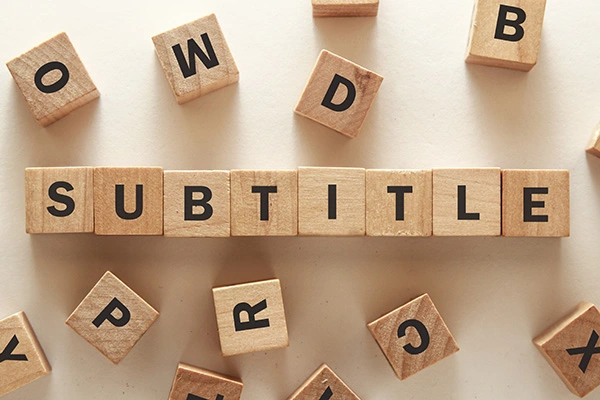 Subtitle multimedia-translation-services